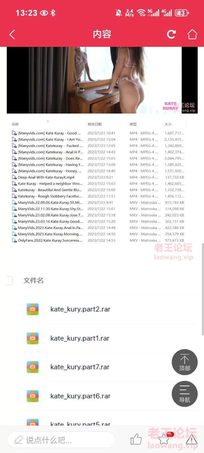 Screenshot_20240801_132311_vip_laowang_PandoraEntryActivity.jpg